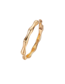 Revana gold