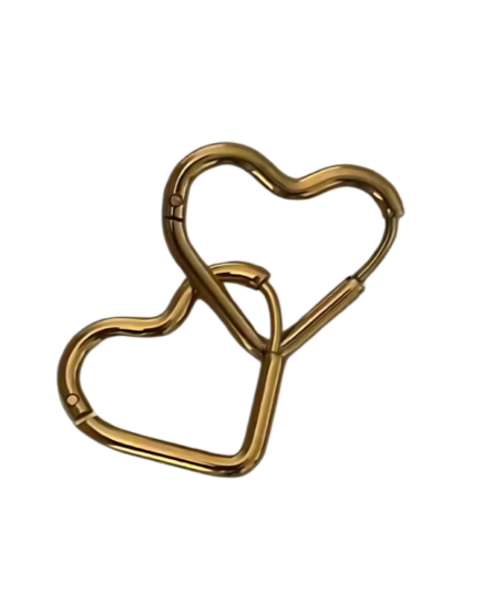 Earlize hoops