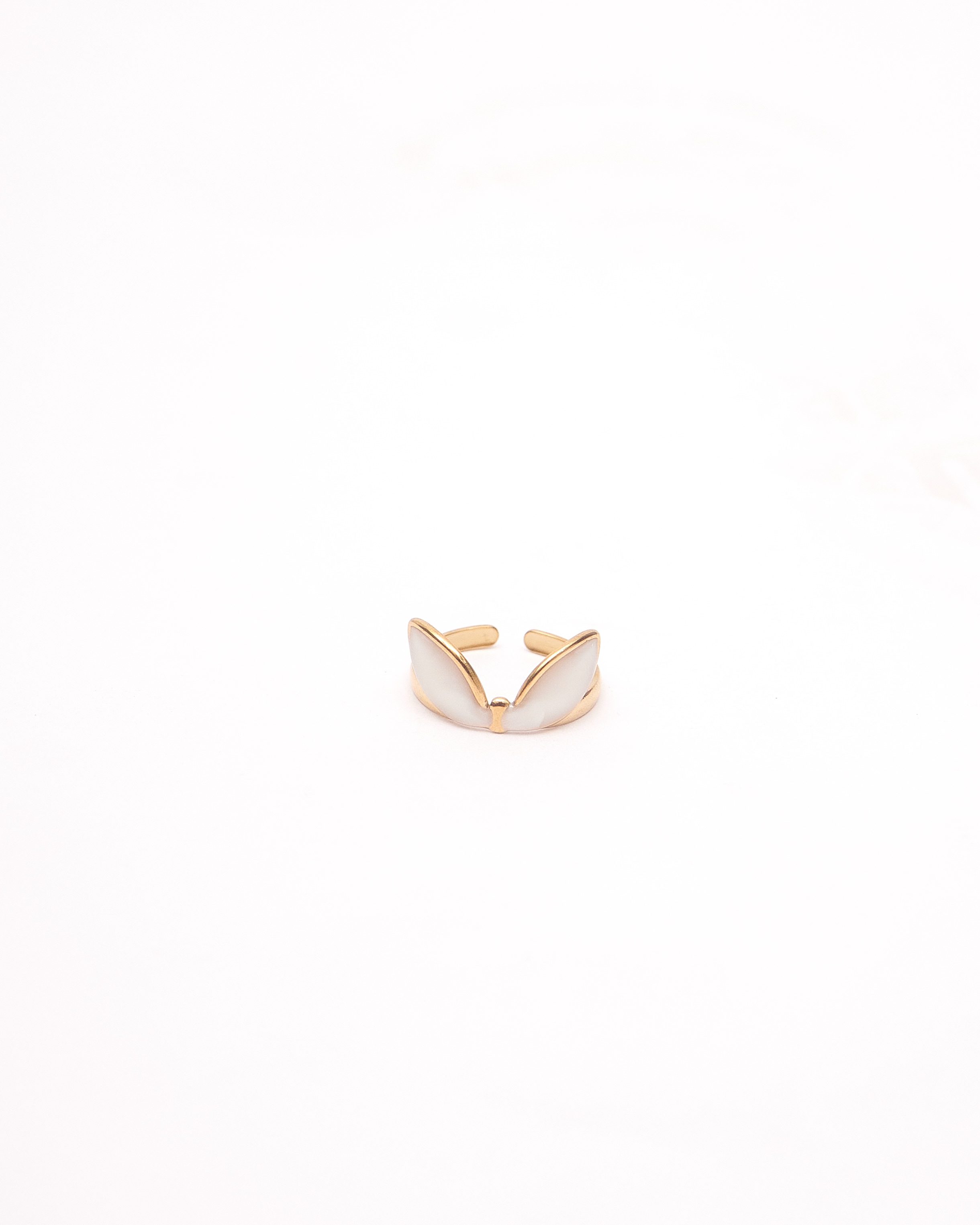 FF PRODUCT SHOOT1051 (1)